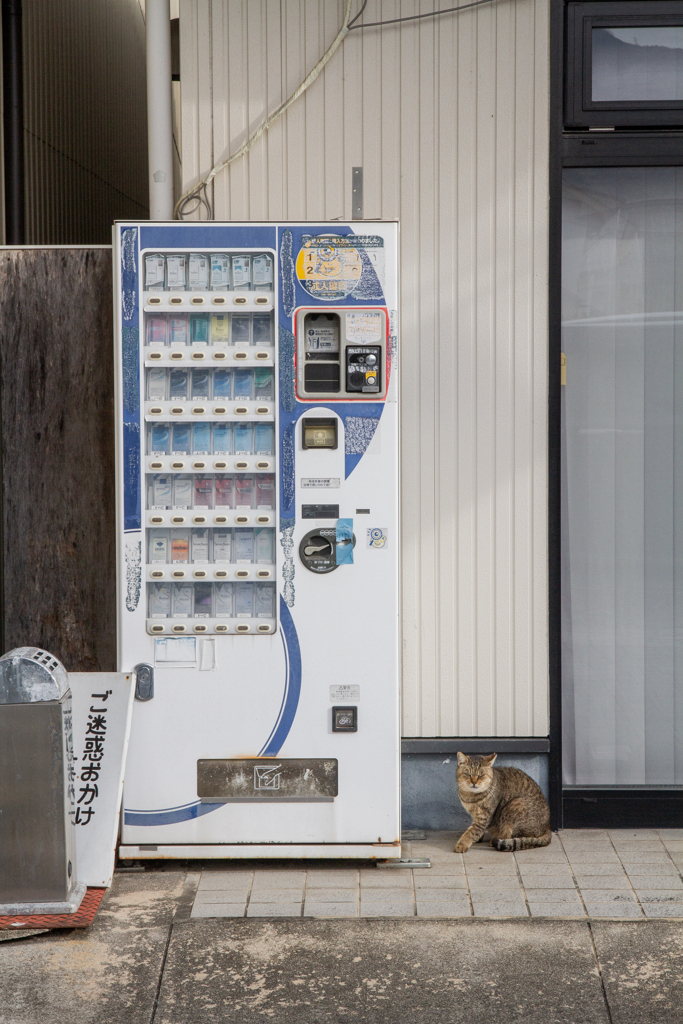 自販機と