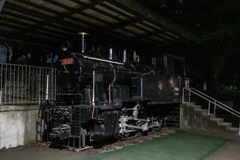 NUS 5