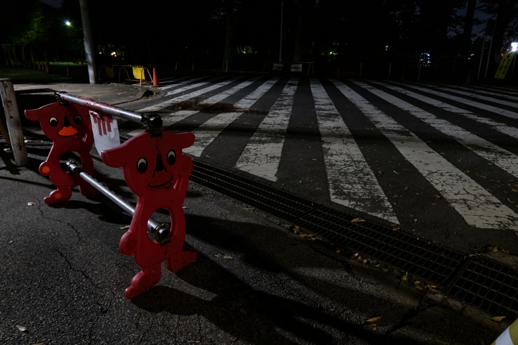 ゼブラゾーンにて