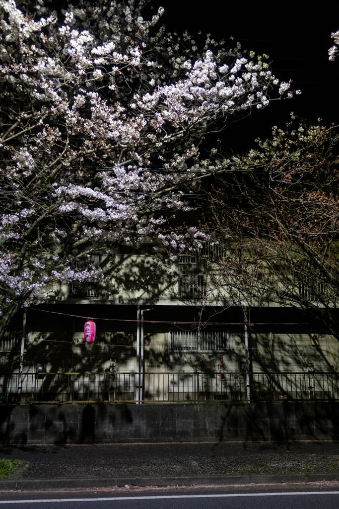 アパートの前で