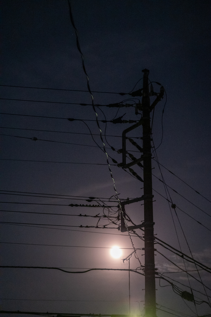月と電柱