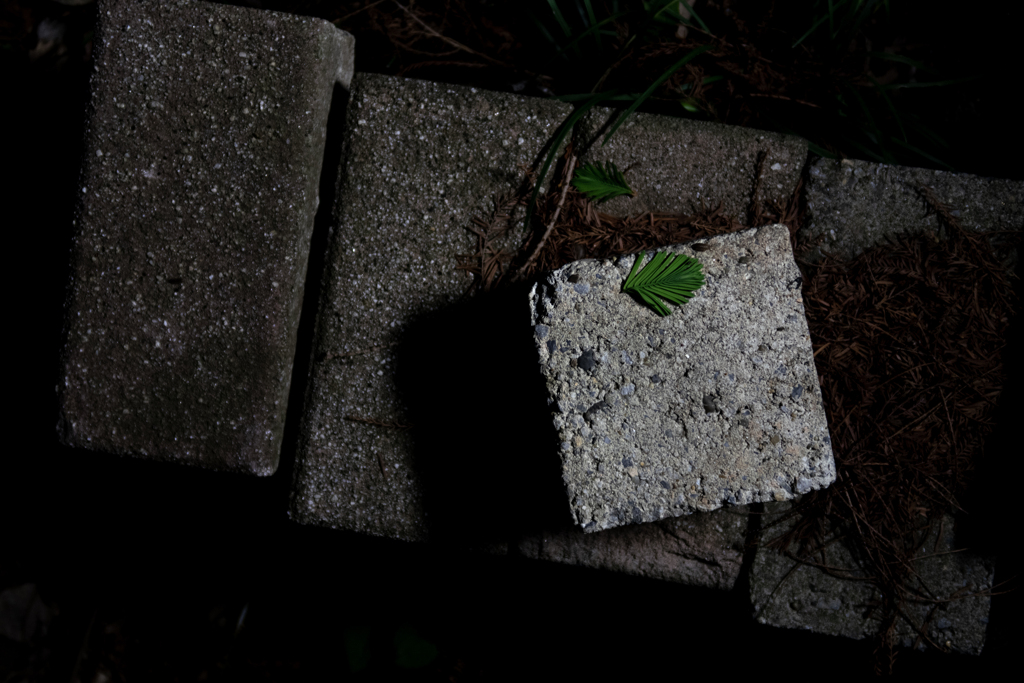 葉っぱとブロック