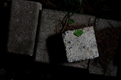 葉っぱとブロック