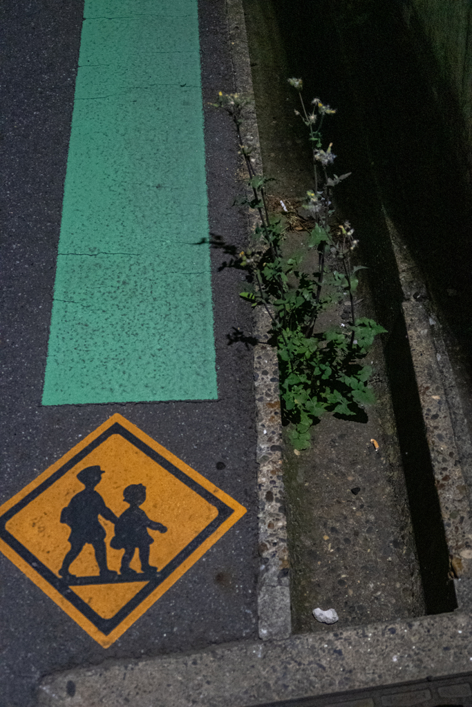 通学路