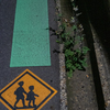 通学路