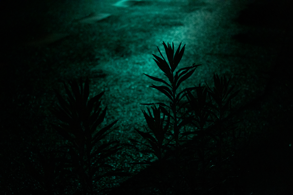 雨上がり