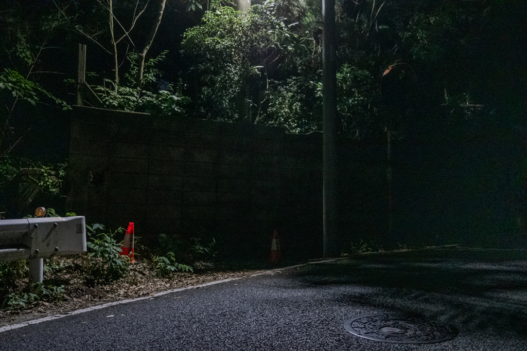 道端に