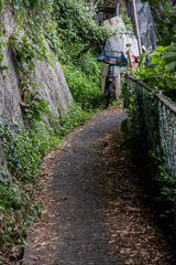 細道のカブ