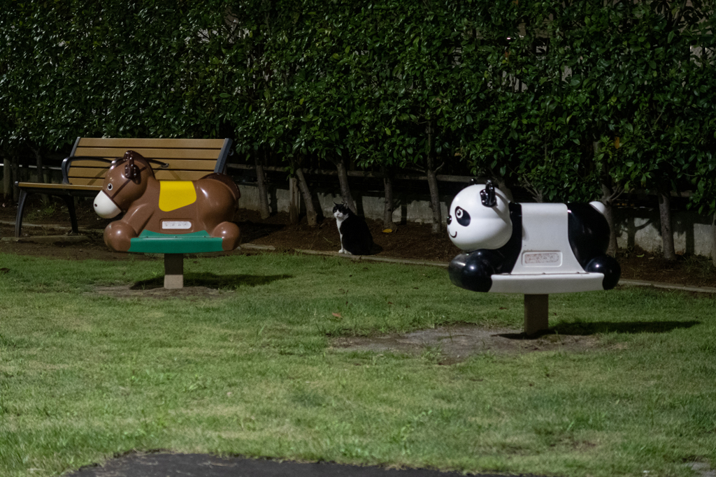 ウマ　ネコ　パンダ