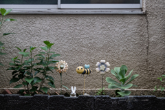 ハチ・花・ウサギ