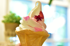 フラワーソフトクリーム！