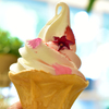 フラワーソフトクリーム！
