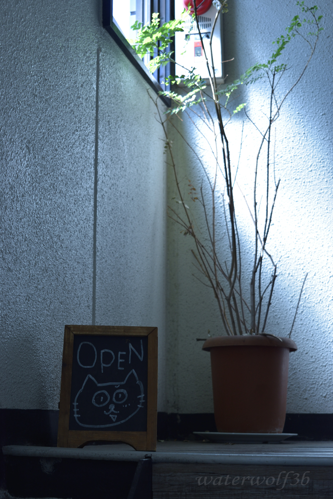 welcomeにゃん