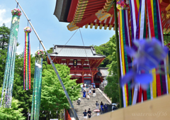 八幡様七夕びより