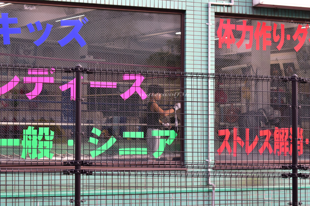 少年ボクサー