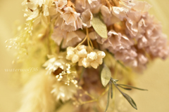 Dried flowers