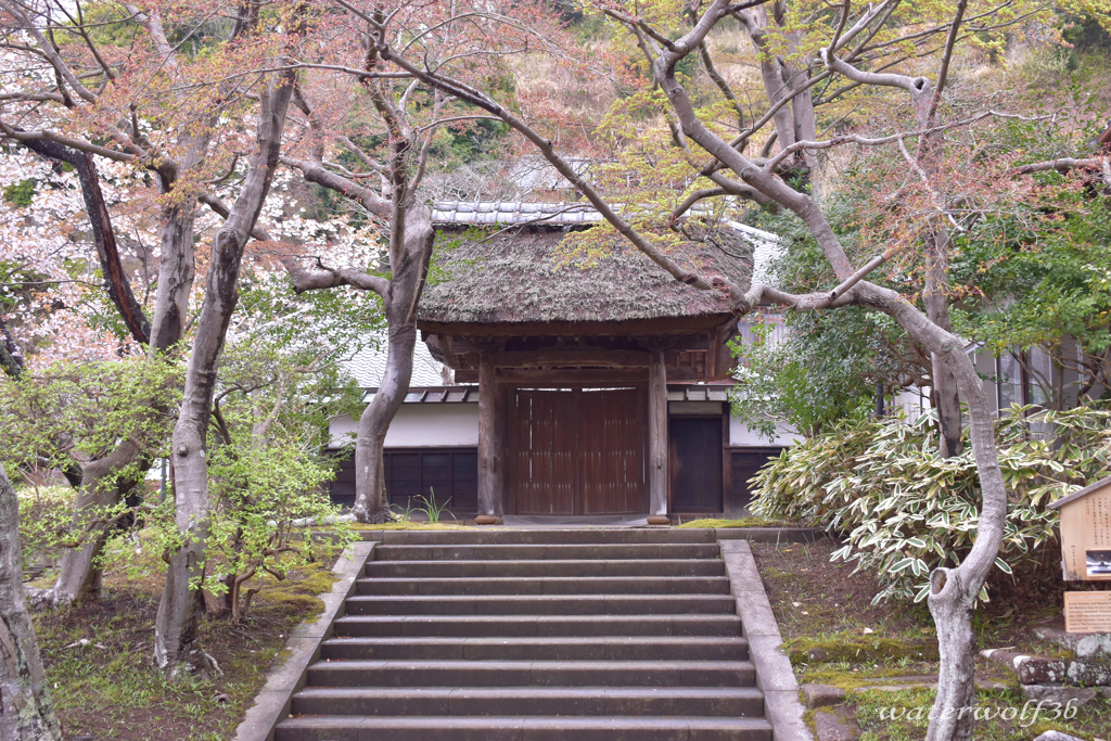 居士院