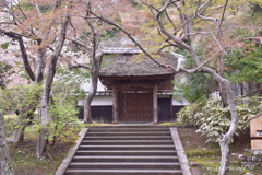 居士院