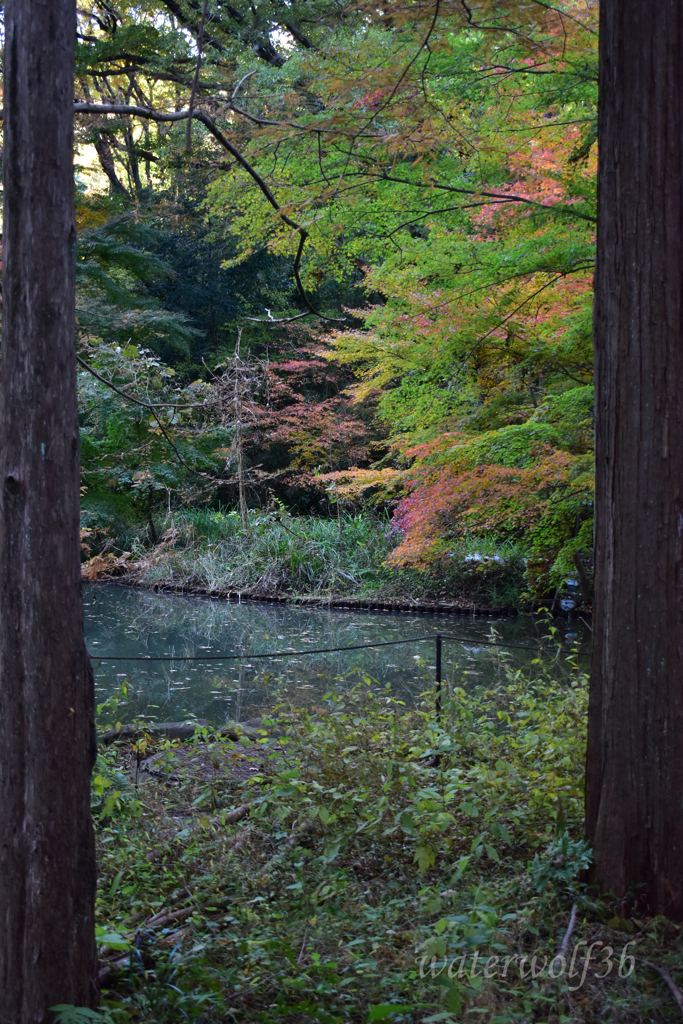 広重風