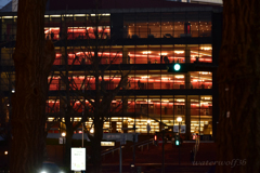 それぞれの夜