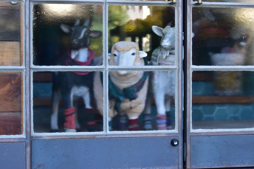 出待ちシスターズ