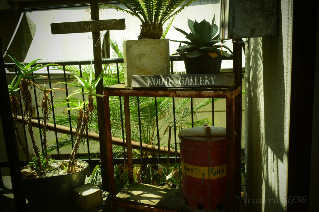 ROUTE GALLERY