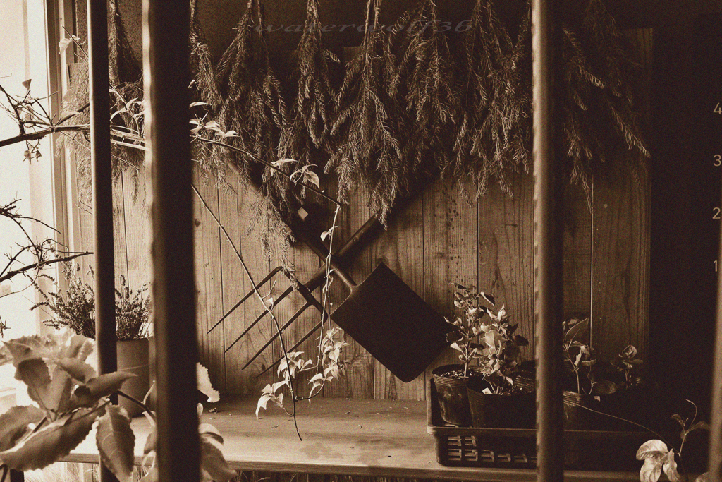 スコップとフォーク