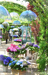 紫陽花ゲート