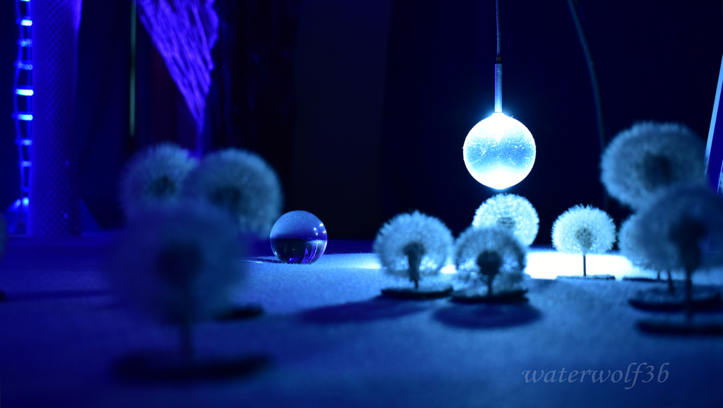 雪月夜