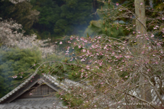 たなびく煙