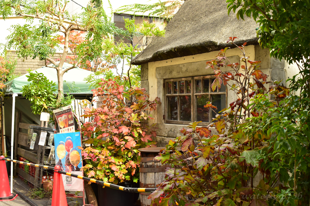 メルヘンと現実