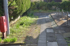 朝の裏小道