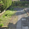 朝の裏小道