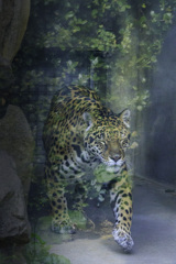 30分圏内　　その１５