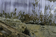 30分圏内　　その１４