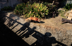 30分圏内　　その１３