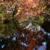 池に映る紅葉
