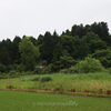 緑ある風景