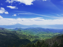 新緑と青空