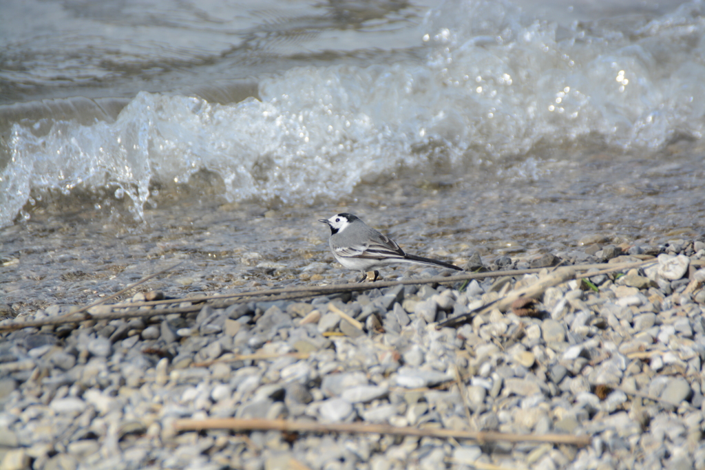 初心写ー第１２週目、その１９