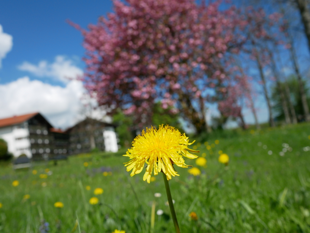 初心写ー第１３週目、その７