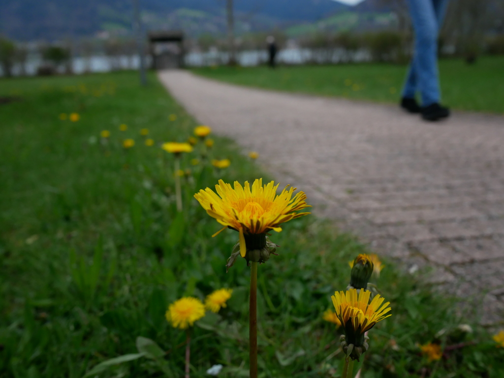 初心写ー第１２週目、その７