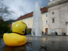 初心写ー第１３週目、その１７