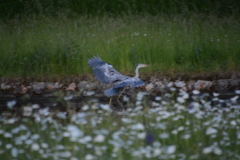 初心写ー第１６週目、その１５