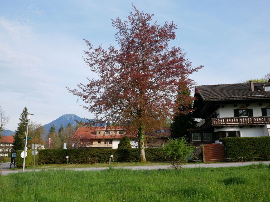 初心写ー第１２週目、その２３