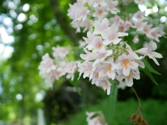 初心写ー第１７週目、その５