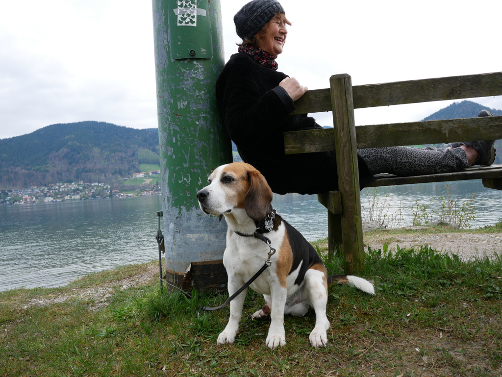 初心写ー第１２週目、その５