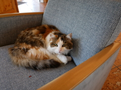 初心写ー第１４週目、その１