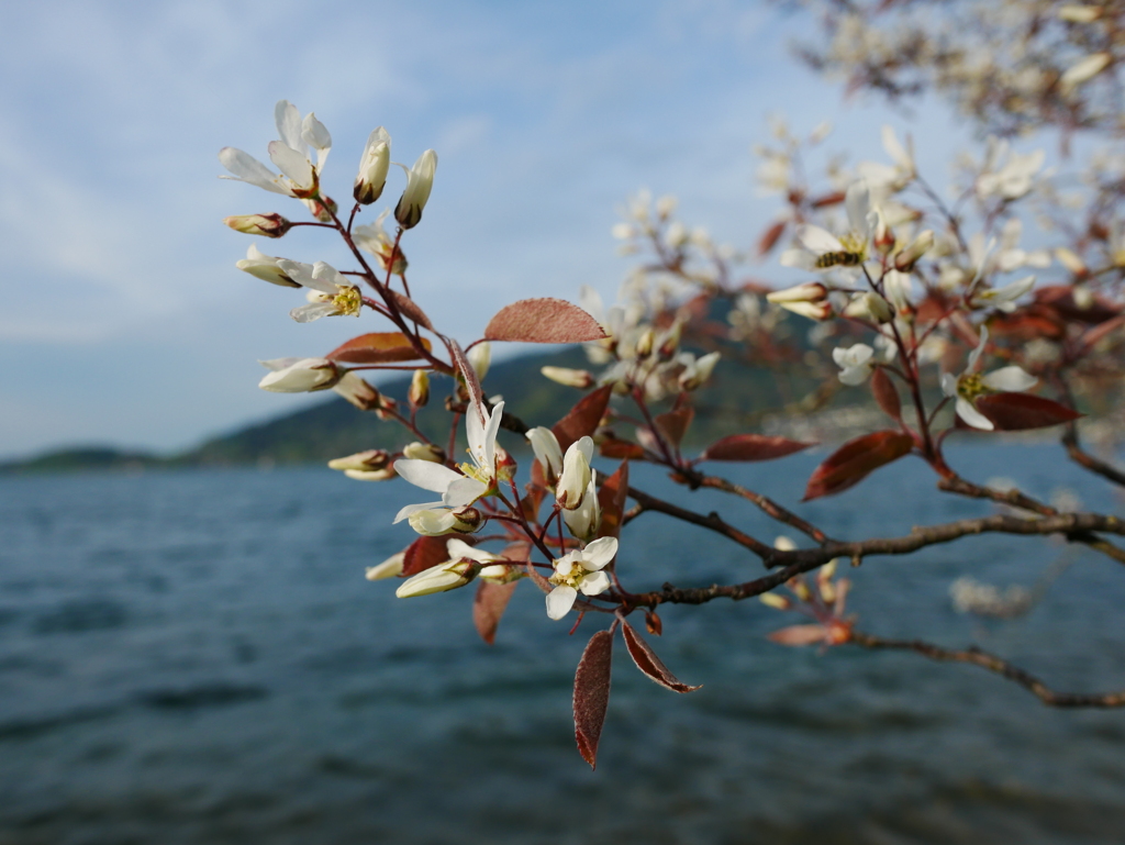 初心写ー第１２週目、その２２