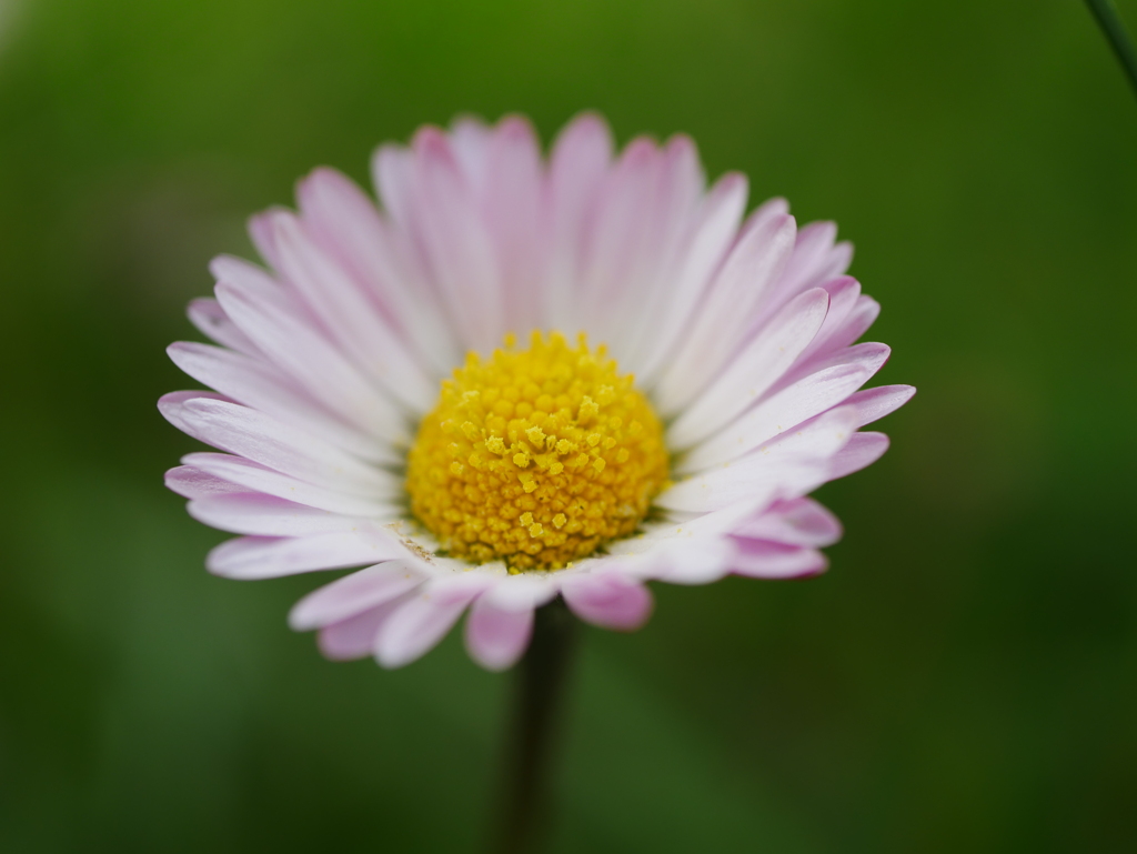 初心写ー第１２週目、その２１